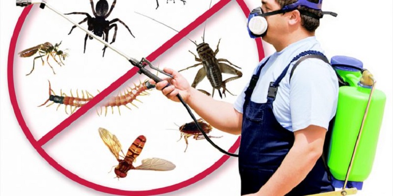 افضل شركة ابادة حشرات