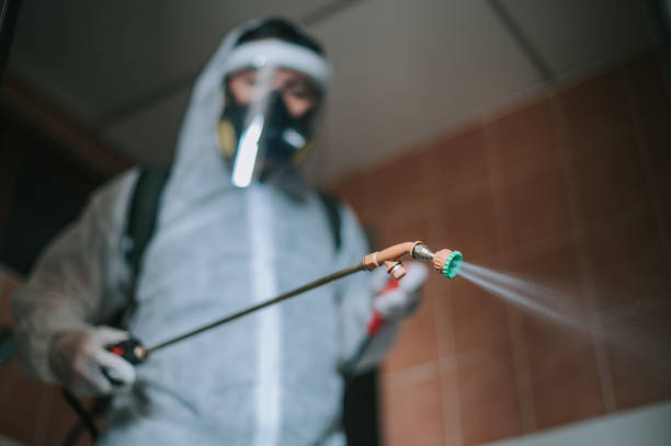 الشركة الالمانية لمكافحة البق فى الجيزة