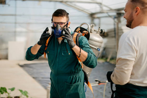 الشركة الالمانية لمكافحة البق فى المهندسين